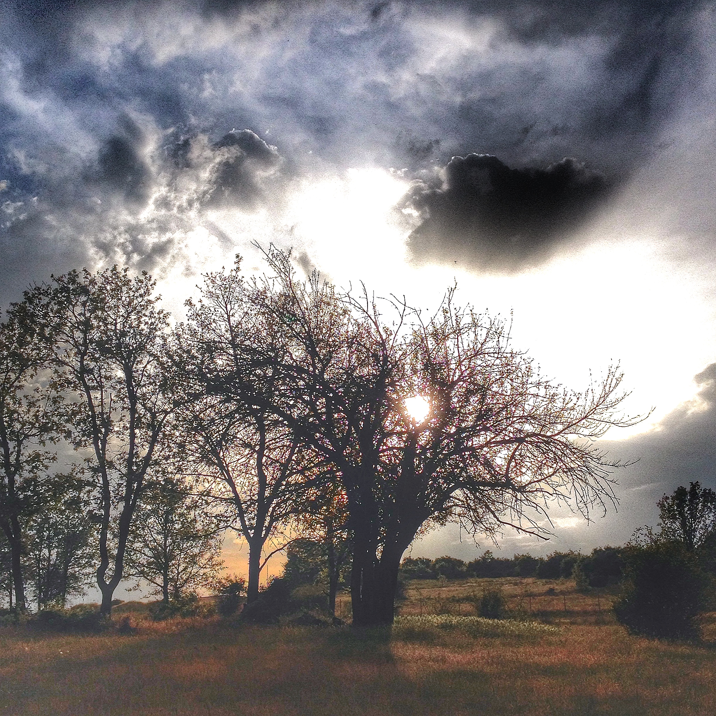 Soledad al atardecer
