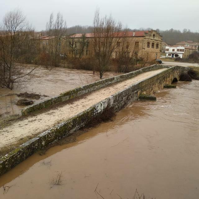 Crecida del río Arlanza Palacios de la Sierra 31 enero 2019