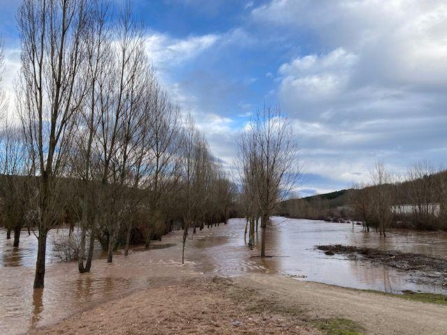 Crecida río Arlanza 25 de enero 2021