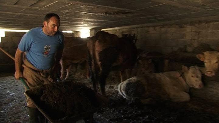 Documental RTVE - El Escarabajo Verde: Fracturas