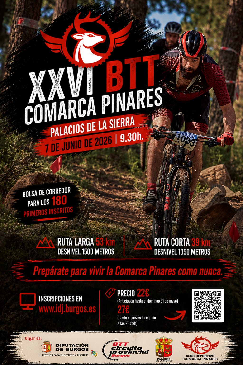 XXVI BTT - COMARCA PINARES - Palacios de la Sierra