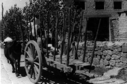 Imagen de Palacios de la Sierra